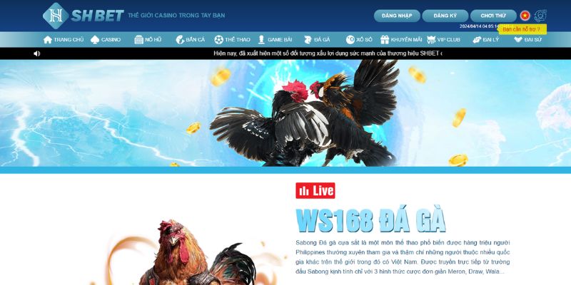 Đá Gà Thomo - Siêu Phẩm Giải Trí Kịch Tính Nhất Mọi Thời Đại 4 Anh em cần phải đăng ký rồi nạp tiền trước thì mới bắt đầu chơi đá gà